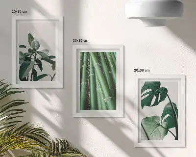 Fotowand mit Bambusstängeln Zimmerpflanze und Monstera-Blättern