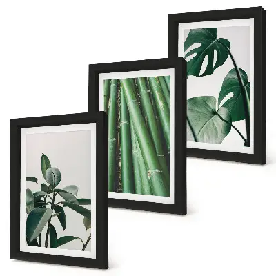 Fotowand mit Bambusstängeln Zimmerpflanze und Monstera-Blättern