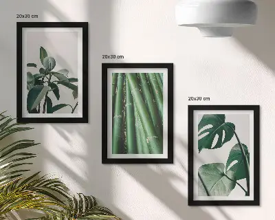 Fotowand mit Bambusstängeln Zimmerpflanze und Monstera-Blättern