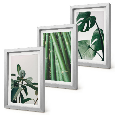 Fotowand Bambusstängel, Zimmerpflanze und Monstera-Blätter