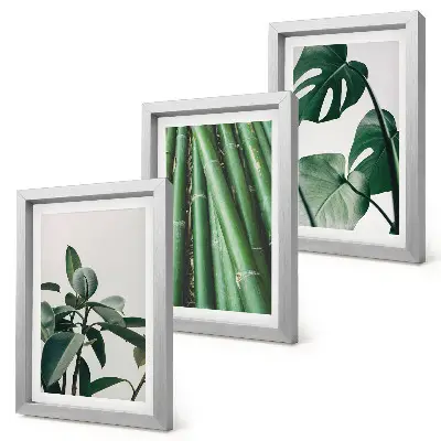 Fotowand mit Bambusstängeln Zimmerpflanze und Monstera-Blättern