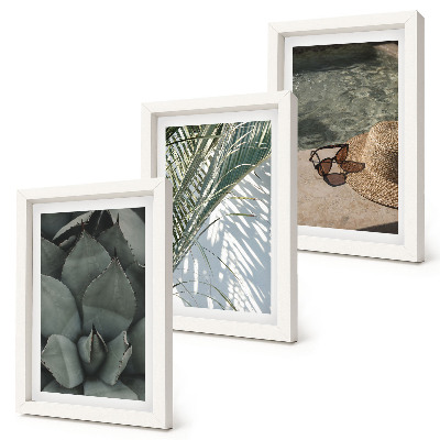 Bilderwand Tropische Pflanzen und sommerliche Urlaubsakzente