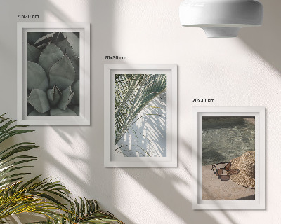 Bilderwand Tropische Pflanzen und sommerliche Urlaubsakzente
