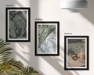 Bilderwand Tropische Pflanzen und sommerliche Urlaubsakzente