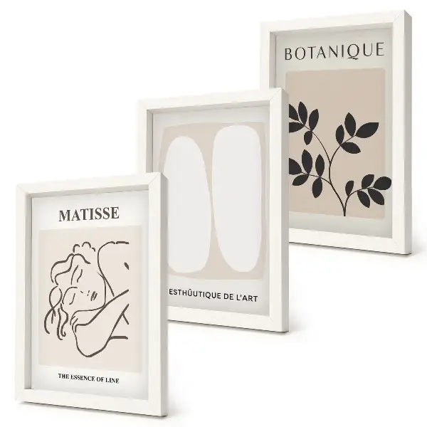 Bilderset mit Rahmen stilvolle minimalistische Matisse-Pflanzenmotive