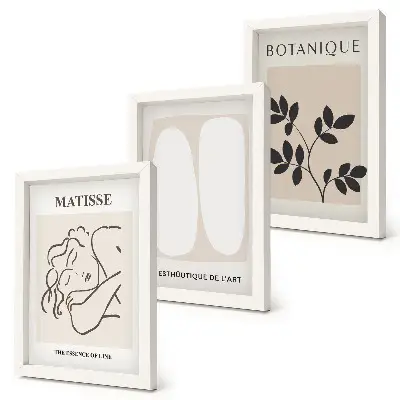 Bilderset mit Rahmen stilvolle minimalistische Matisse-Pflanzenmotive