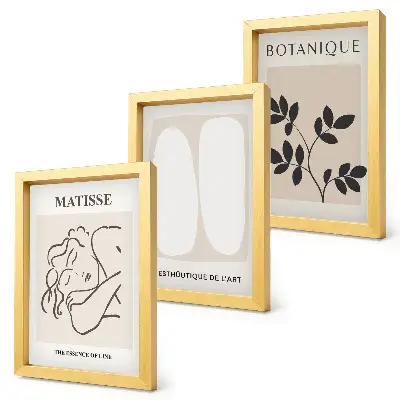 Bilderset mit Rahmen stilvolle minimalistische Matisse-Pflanzenmotive
