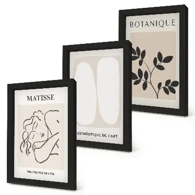 Bilderset mit Rahmen stilvolle minimalistische Matisse-Pflanzenmotive