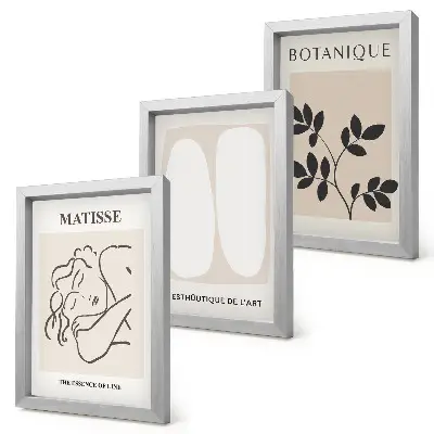 Bilderset mit Rahmen stilvolle minimalistische Matisse-Pflanzenmotive