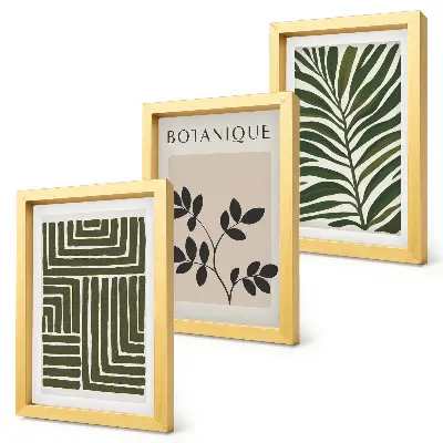 Fotowand mit botanischen Kompositionen im Boho-Minimalismus