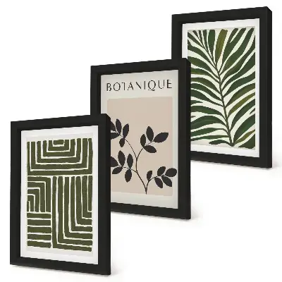 Fotowand mit botanischen Kompositionen im Boho-Minimalismus