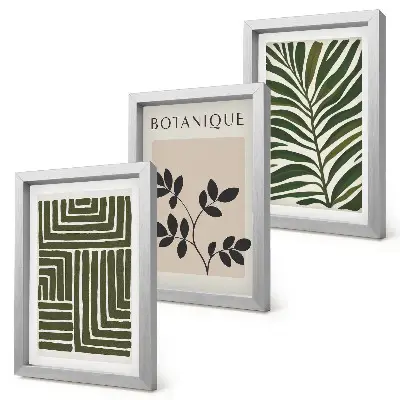 Fotowand mit botanischen Kompositionen im Boho-Minimalismus