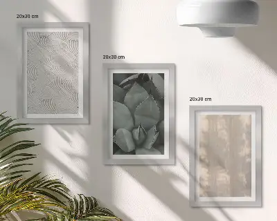 Bilderwand sommerliche Texturen aus nächster Nähe im tropischen Klima