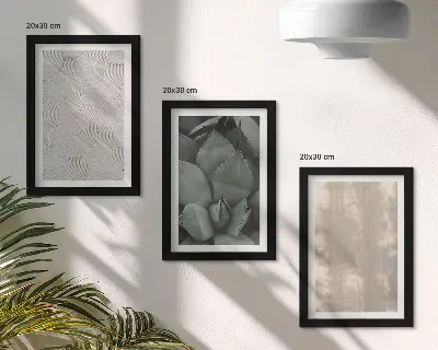 Bilderwand sommerliche Texturen aus nächster Nähe im tropischen Klima