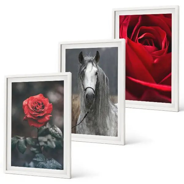Bilder-3er-Set mit Rahmen mit den Motiven Rote Rosen, Pferdegrau und Welt