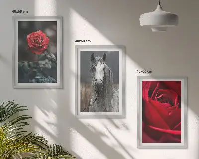 Bilder-3er-Set mit Rahmen mit den Motiven Rote Rosen, Pferdegrau und Welt