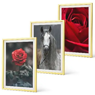 Bilder-3er-Set mit Rahmen mit den Motiven Rote Rosen, Pferdegrau und Welt