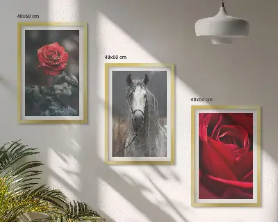 Bilder-3er-Set mit Rahmen mit den Motiven Rote Rosen, Pferdegrau und Welt