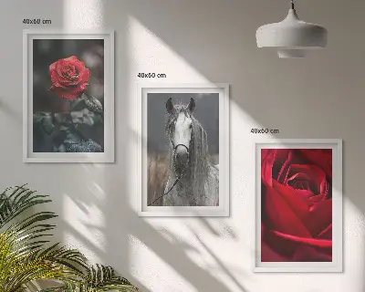 Bilder-3er-Set mit Rahmen mit den Motiven Rote Rosen, Pferdegrau und Welt