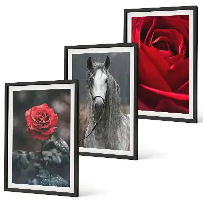 Bilder-3er-Set mit Rahmen mit den Motiven Rote Rosen, Pferdegrau und Welt