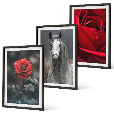 Bilder-3er-set mit rahmen Rote Rosen, Pferdegrau, Welt