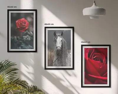 Bilder-3er-Set mit Rahmen mit den Motiven Rote Rosen, Pferdegrau und Welt