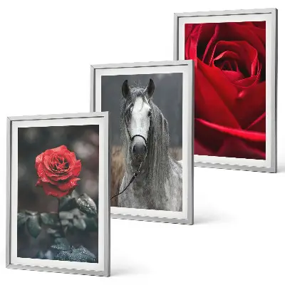 Bilder-3er-Set mit Rahmen mit den Motiven Rote Rosen, Pferdegrau und Welt