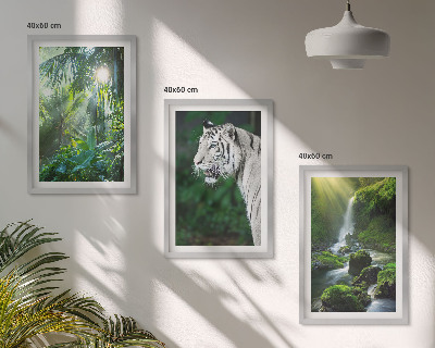 Gerahmtes bilderset Dschungeltigerwasserfall