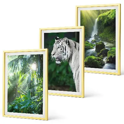 Gerahmtes Bilderset Dschungeltiger und Wasserfall