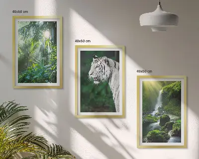 Gerahmtes Bilderset Dschungeltiger und Wasserfall