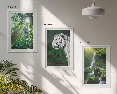 Gerahmtes Bilderset Dschungeltiger und Wasserfall