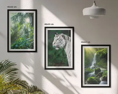 Gerahmtes Bilderset Dschungeltiger und Wasserfall