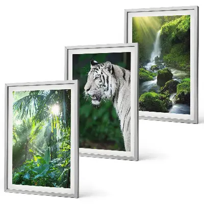 Gerahmtes Bilderset Dschungeltiger und Wasserfall