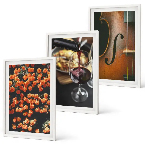 3er-Set Wandbilder mit Rahmen Motiv Vintage Blumen Wein und Geige