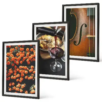 3er-Set Wandbilder mit Rahmen Motiv Vintage Blumen Wein und Geige