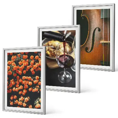 3er-Set Wandbilder mit Rahmen Motiv Vintage Blumen Wein und Geige