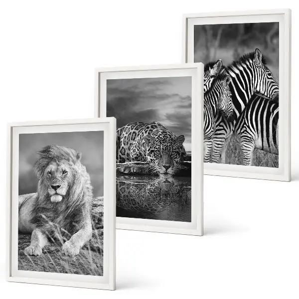 Wildtiere der Savanne Bilder-Set, 3-teilig mit Rahmen