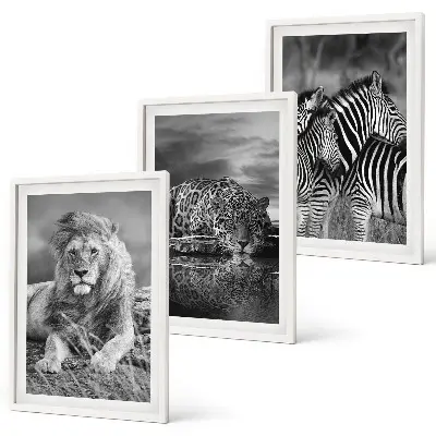 Wildtiere der Savanne Bilder-Set, 3-teilig mit Rahmen