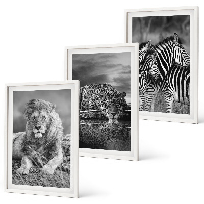 Bilder-3er-set mit rahmen Wildtiere der Savanne