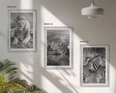 Wildtiere der Savanne Bilder-Set, 3-teilig mit Rahmen