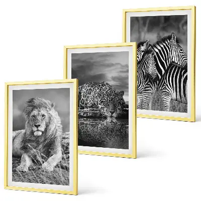 Wildtiere der Savanne Bilder-Set, 3-teilig mit Rahmen