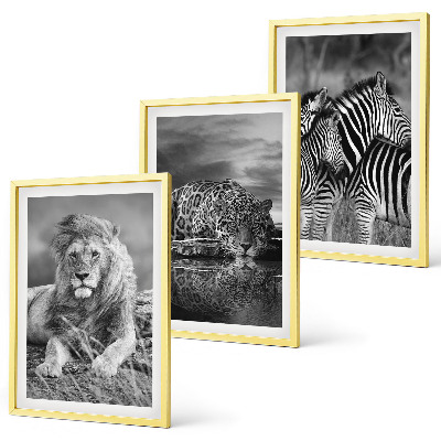 Bilder-3er-set mit rahmen Wildtiere der Savanne