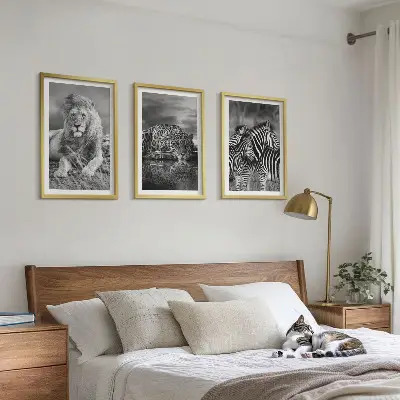 Wildtiere der Savanne Bilder-Set, 3-teilig mit Rahmen