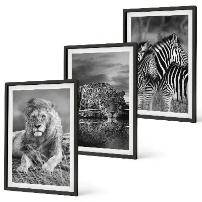Wildtiere der Savanne Bilder-Set, 3-teilig mit Rahmen