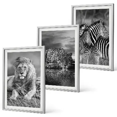 Wildtiere der Savanne Bilder-Set, 3-teilig mit Rahmen