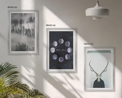 3er-Set Bilder mit Rahmen Waldlandschaft mit Nebel Mond und Hirschschädel