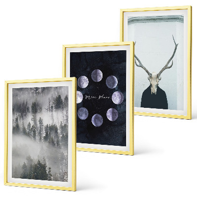 Bilder-3er-set mit rahmen Waldlandschaft, Nebel, Mond, Hirschschädel