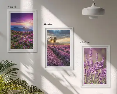 Sonnenuntergang auf Lavendelfeldern 3er-Set Bilder mit Rahmen