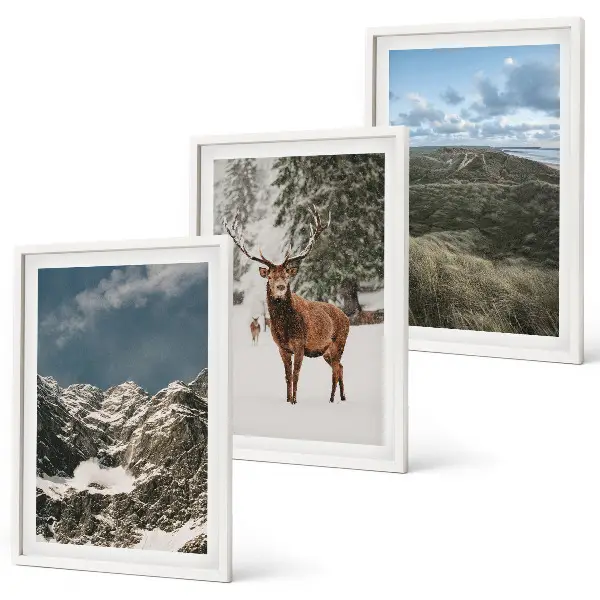Gerahmtes Bilderset mit Motiven von Bergen, Schnee, Hirschen und einer Waldlandschaft