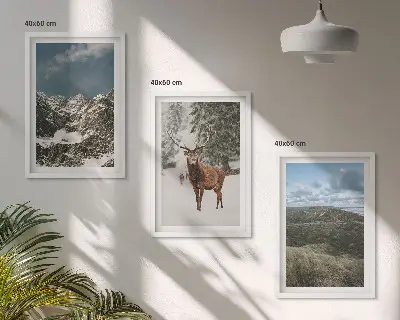 Gerahmtes Bilderset mit Motiven von Bergen, Schnee, Hirschen und einer Waldlandschaft